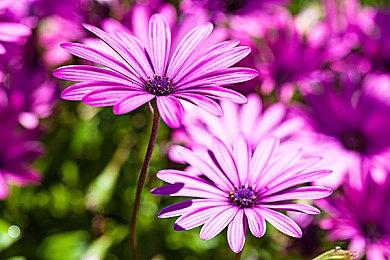 粉丝自制虚幻5版《魔兽世界》西部荒野场景