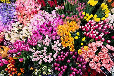 《金牌得主》的体验！美少女花滑《ICE on the EDGE》新宣传片